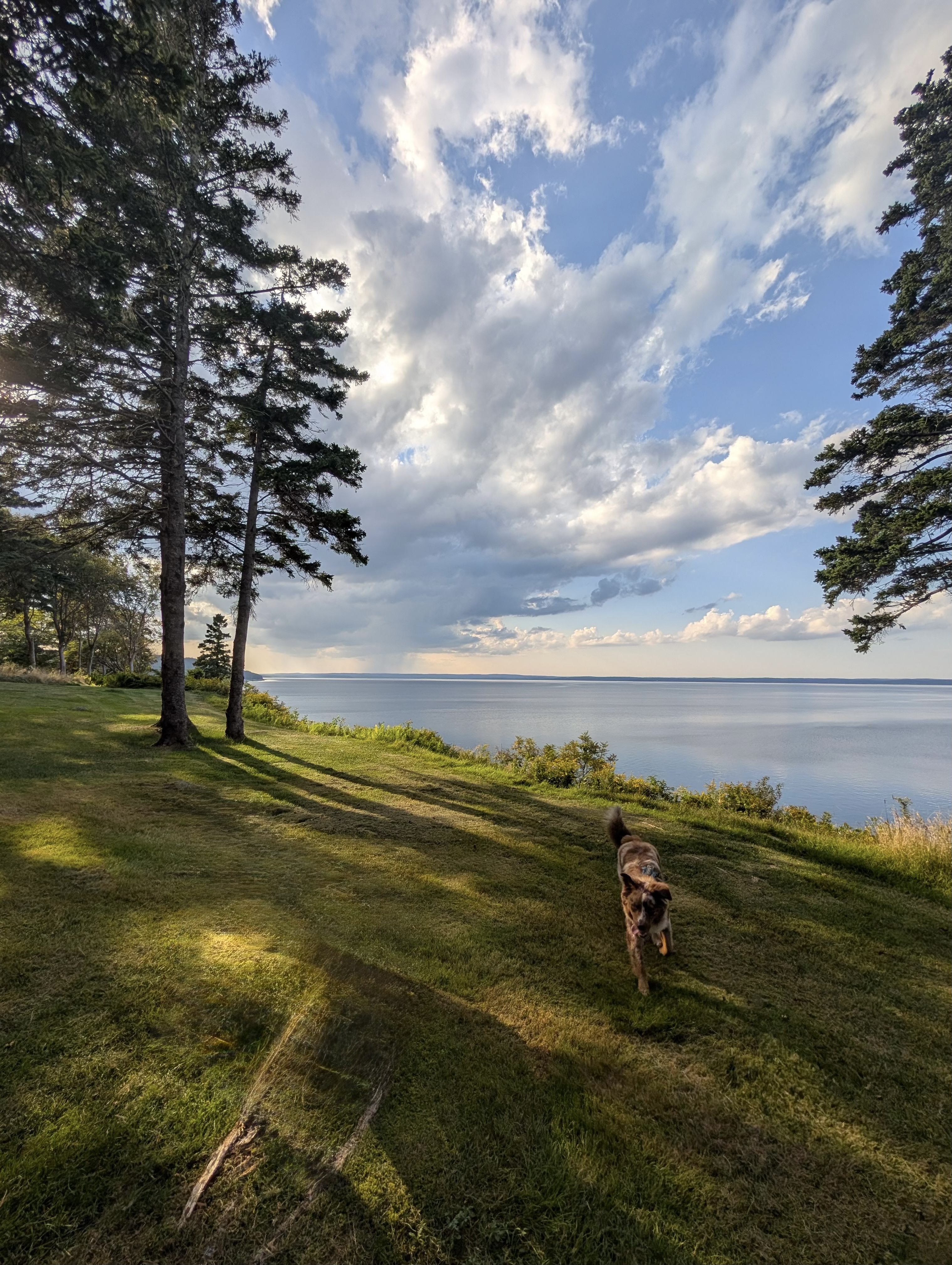 The bay at Halfway Cove, Nova Scotia
